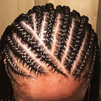 Feed in cornrows, Ten rows, straight back, seen from above